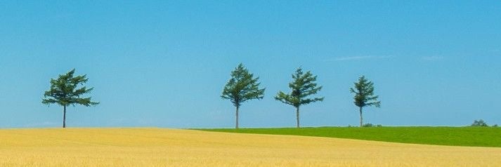 占いサロン　風希の画像