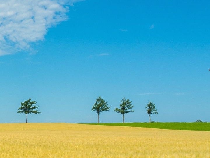 占いサロン　風希の画像